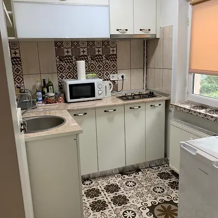 Apartment Cozy In A Quiet Area Craiova